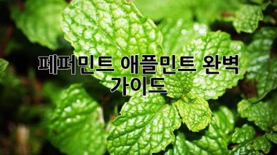페퍼민트 애플민트 완벽 가이드
