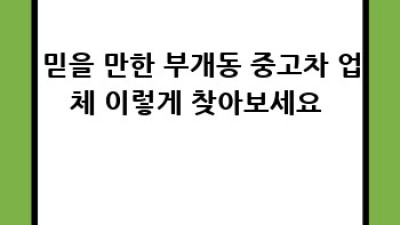 부개동 중고차 🚘 현명하게 사는 법! 놓치면 손해🤫
