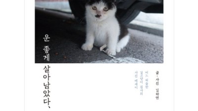 나는사진이다 써보니 ✨ 솔직 후기 & 꿀팁 대방출! (할인 정보)